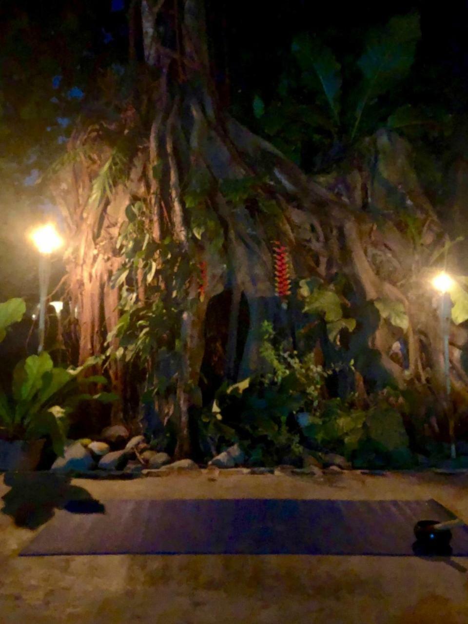 Jaco Inn ภายนอก รูปภาพ